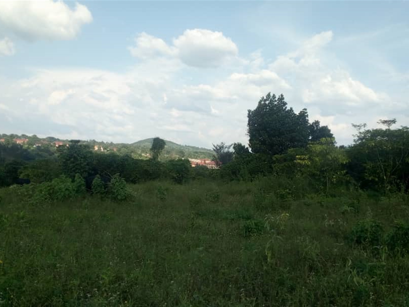 Commercial Land for sale in Bombo Kampala
