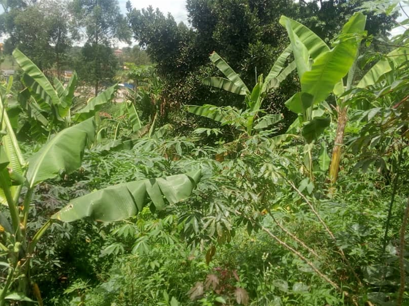 Multipurpose Land for sale in Matugga Wakiso