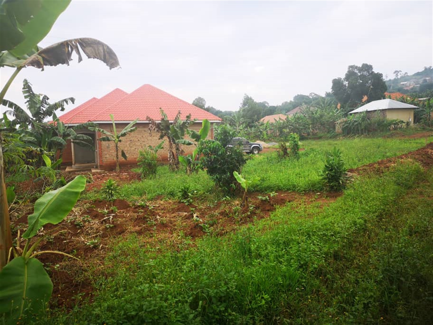 Bungalow for sale in Buddo Kampala