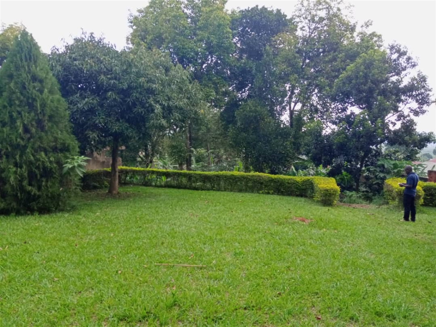 Bungalow for sale in Kirinya Luweero