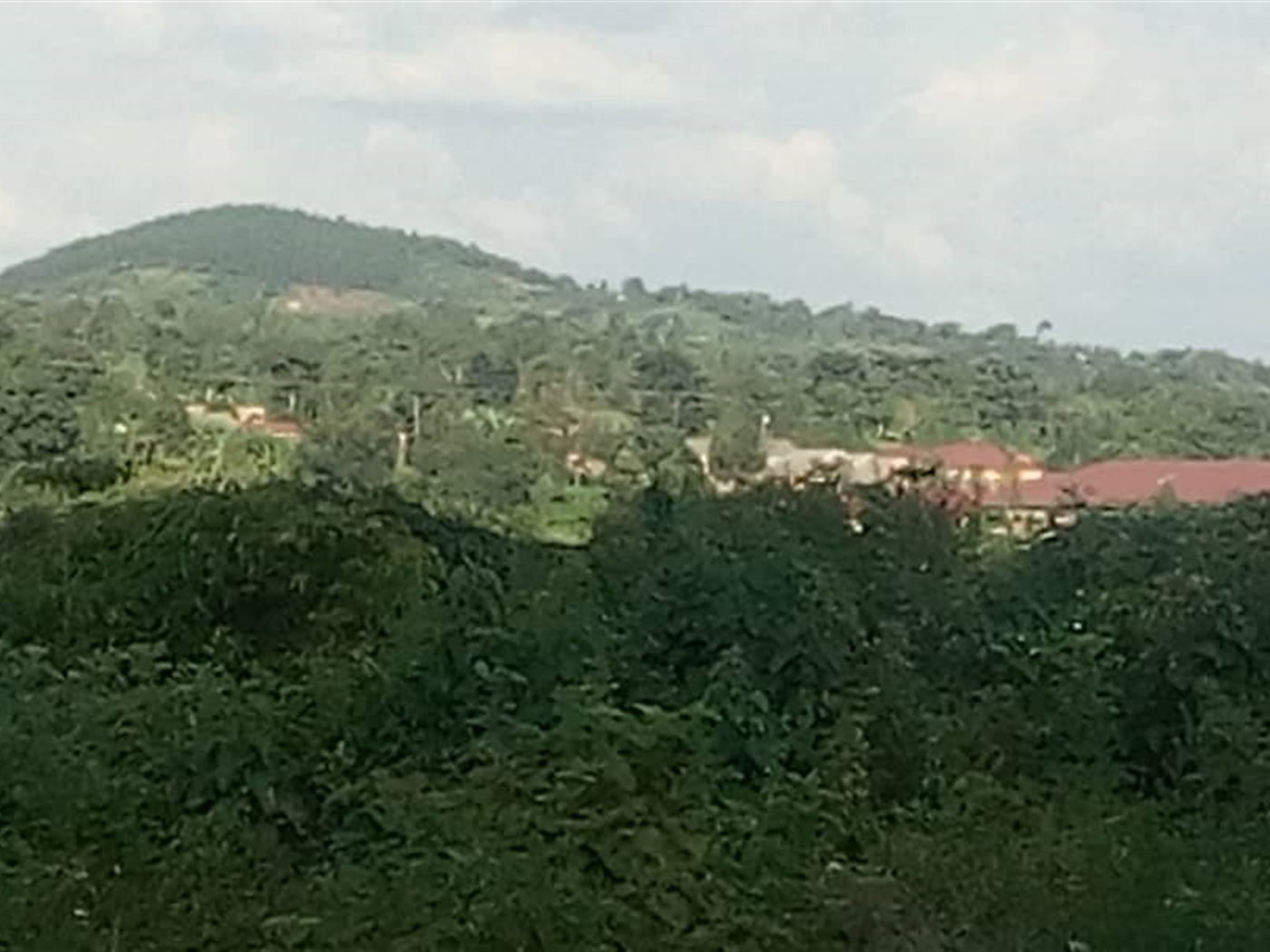 Commercial Land for sale in Kalule Wakiso
