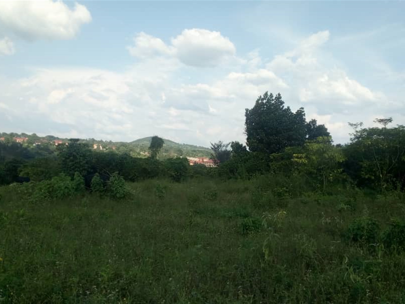 Commercial Land for sale in Kalule Wakiso