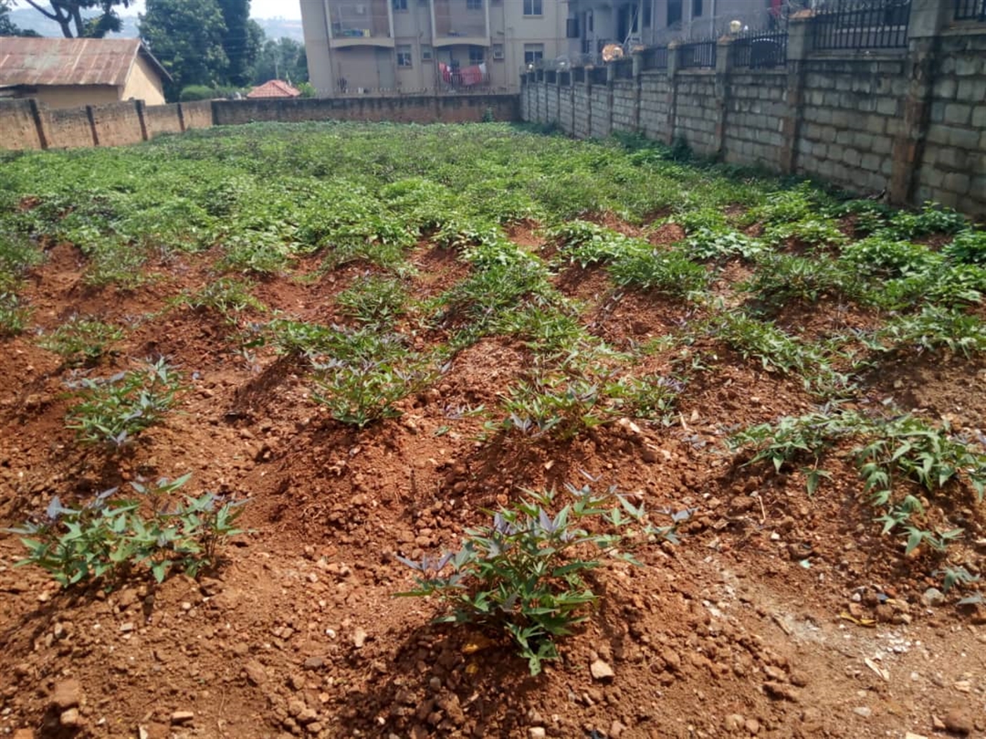 Residential Land for sale in Nyanama Wakiso