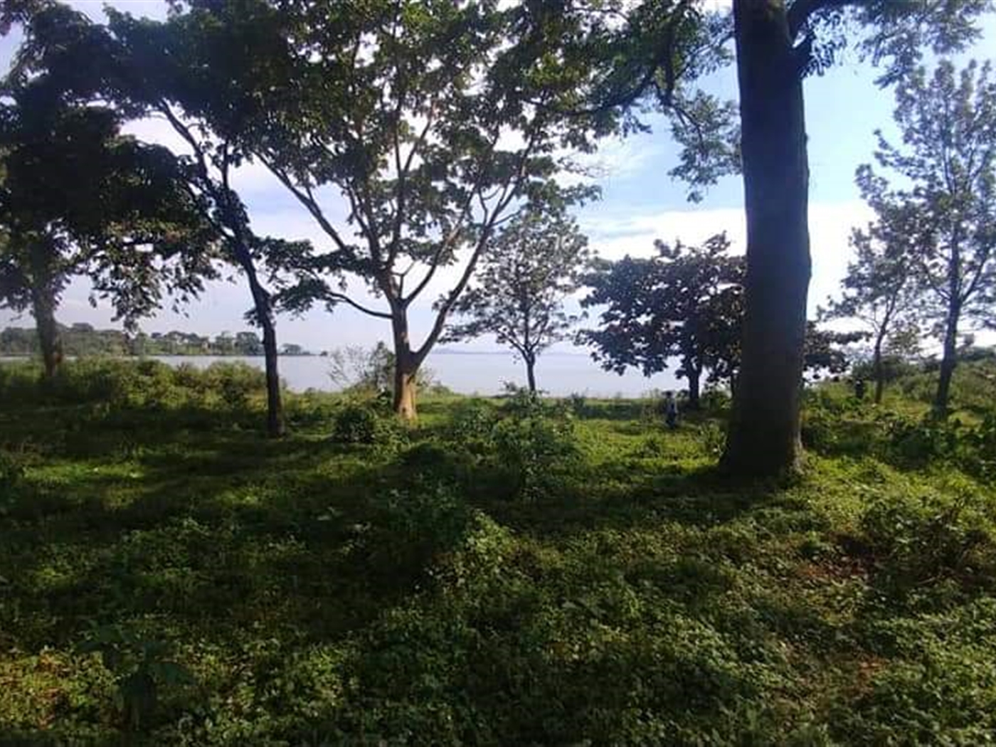 Multipurpose Land for sale in Bugiri Wakiso