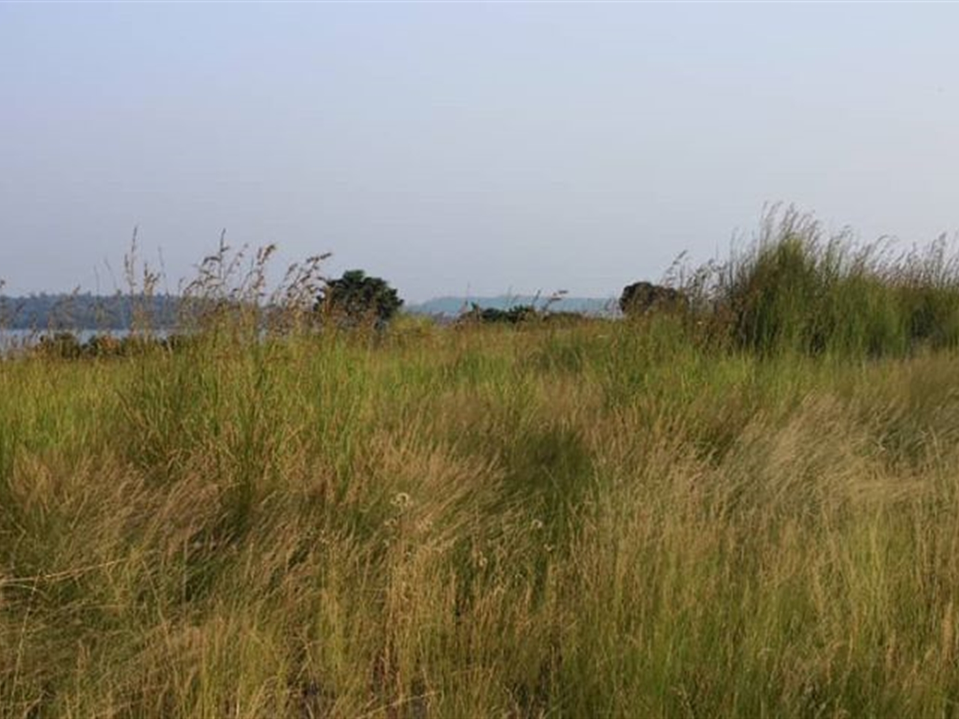 Multipurpose Land for sale in Bufumbira Kalangala