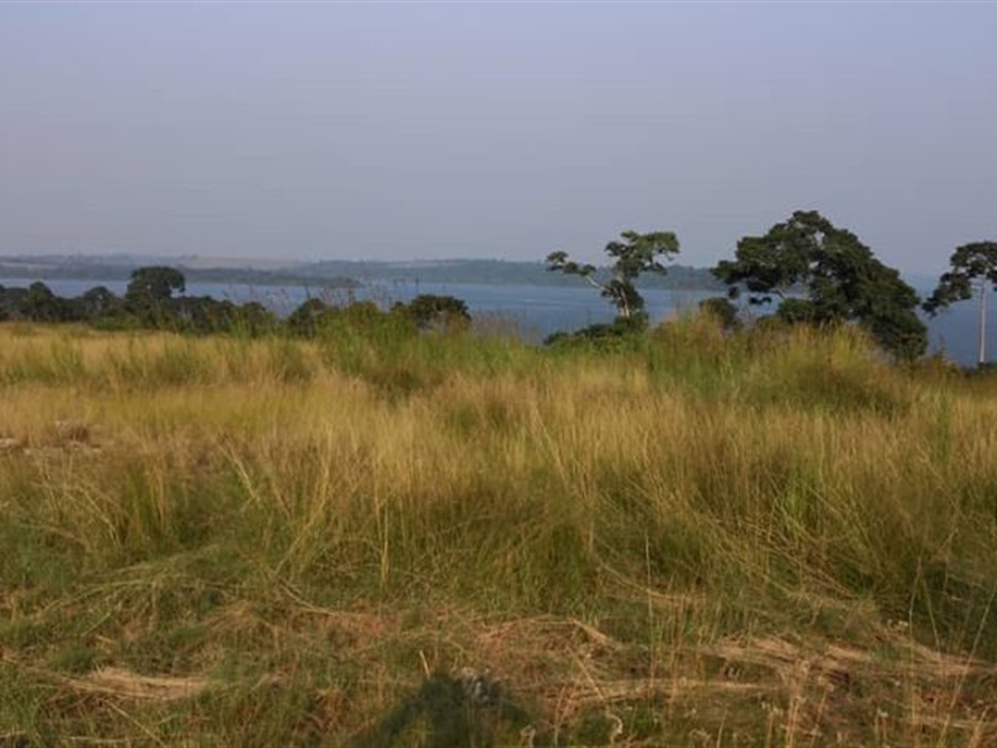 Multipurpose Land for sale in Bufumbira Kalangala