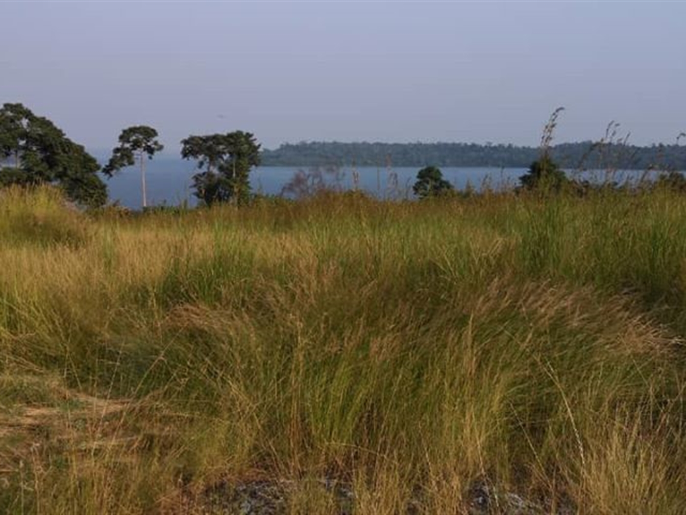 Multipurpose Land for sale in Bufumbira Kalangala