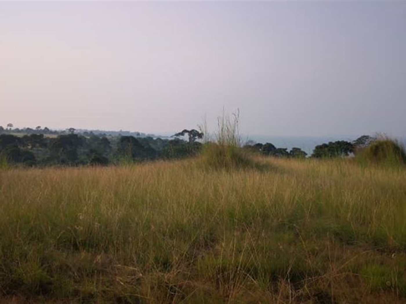 Multipurpose Land for sale in Bufumbira Kalangala