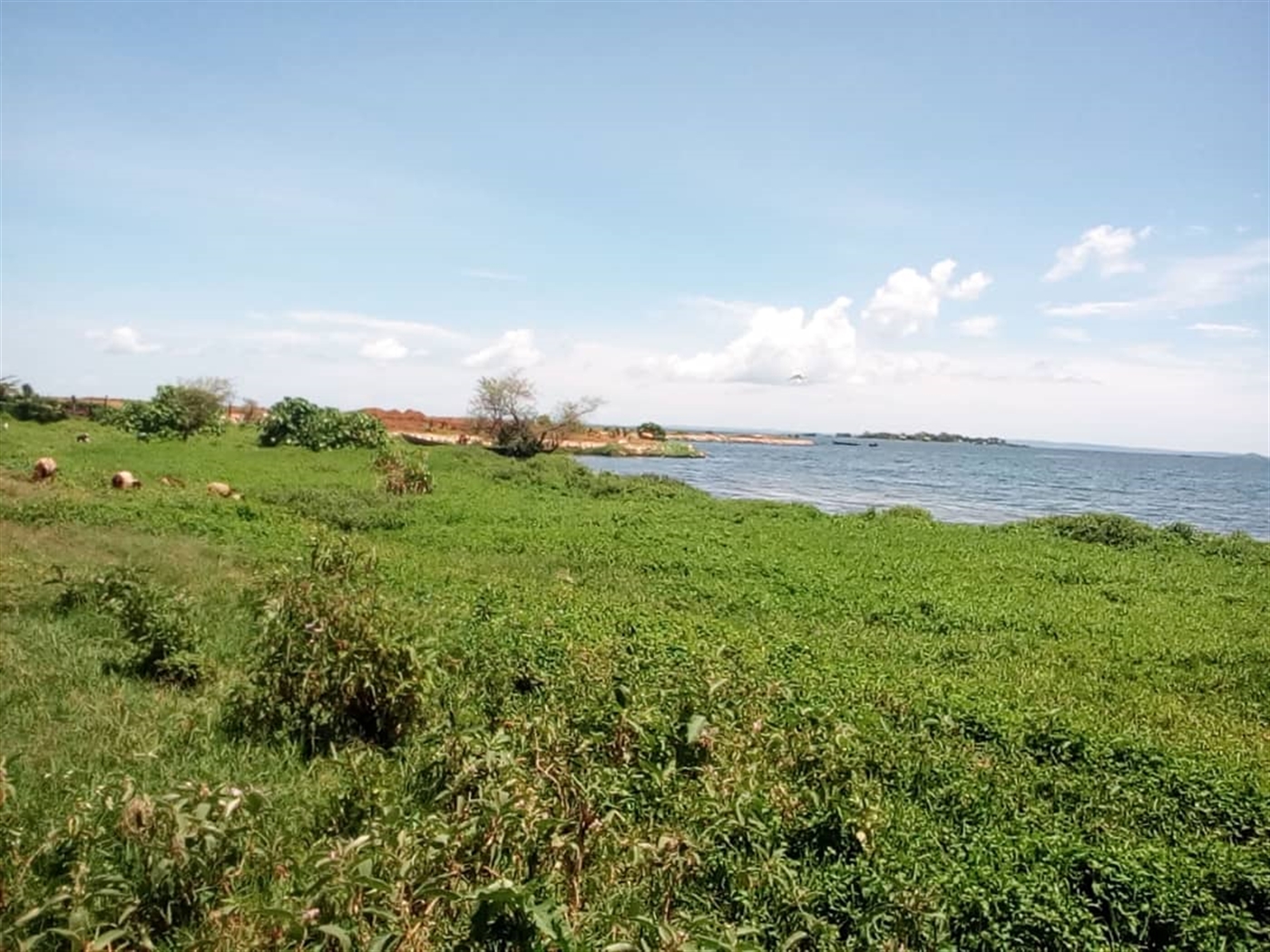 Multipurpose Land for sale in Garuga Wakiso