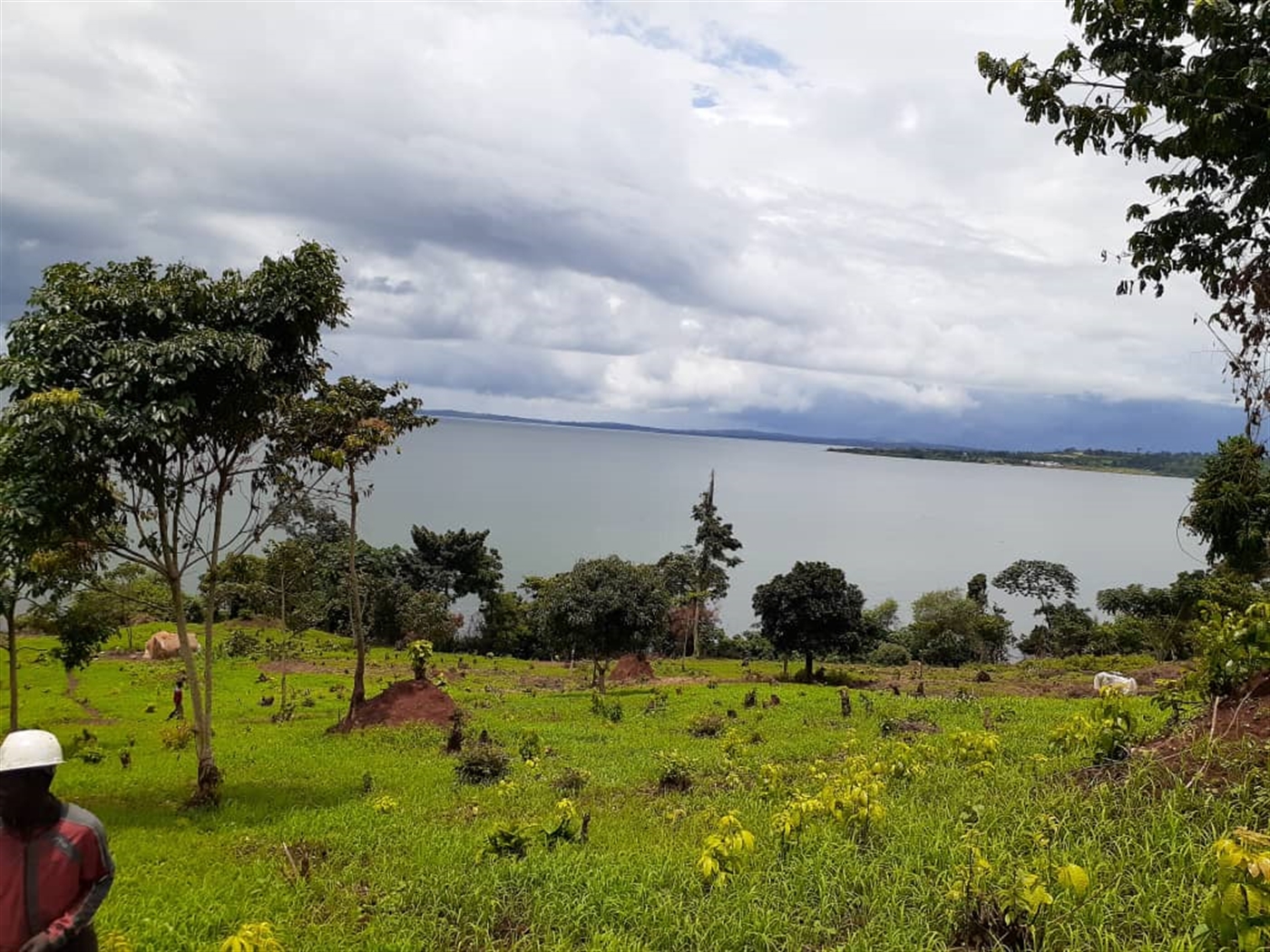Multipurpose Land for sale in Buyikwe Wakiso