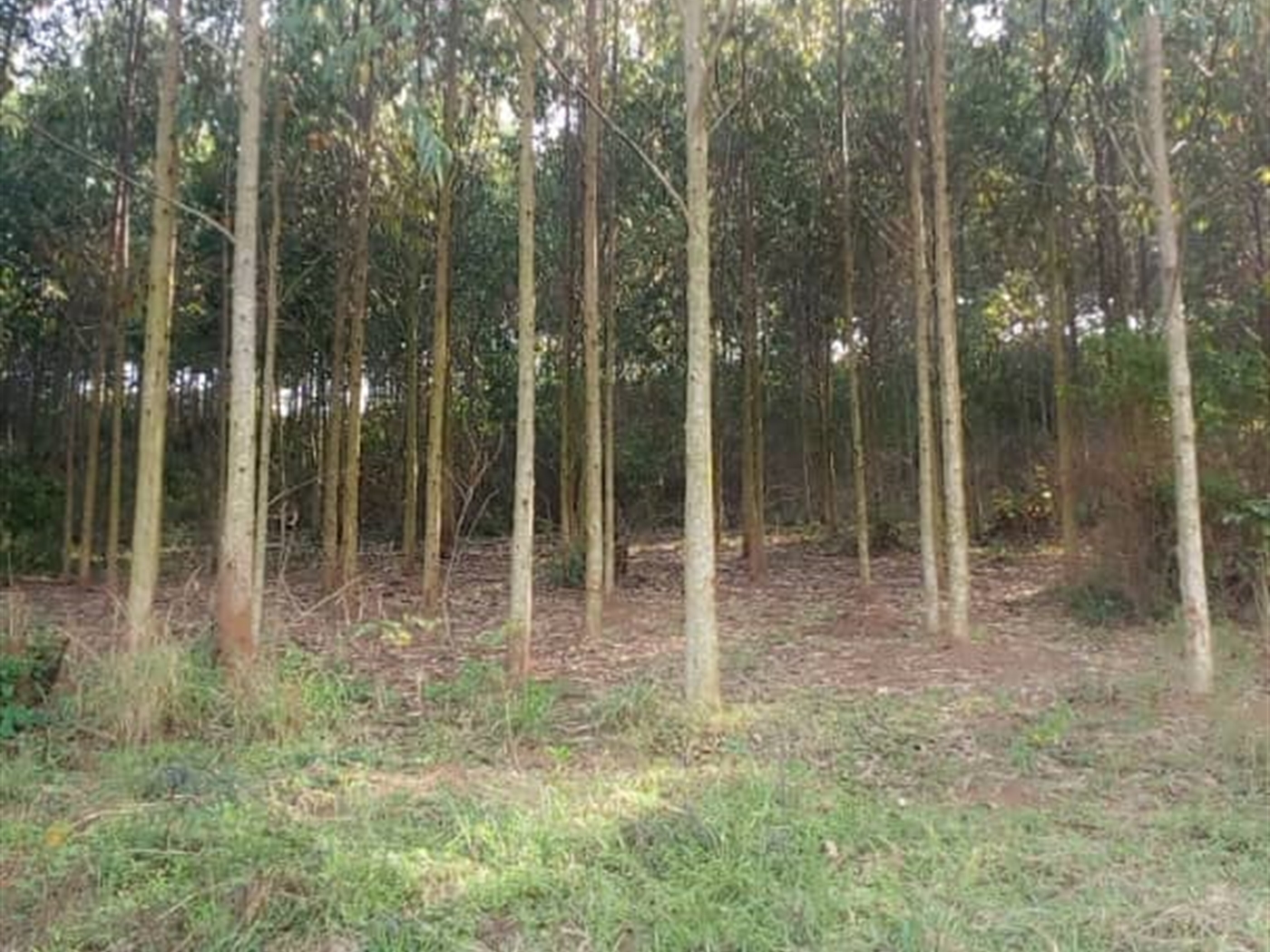 Multipurpose Land for sale in Ggomba Wakiso