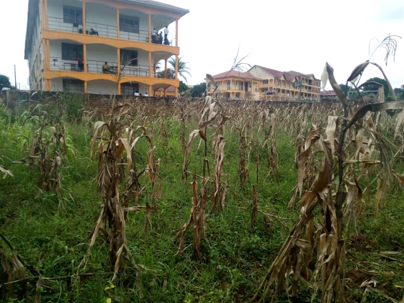 Multipurpose Land for sale in Kitende Wakiso