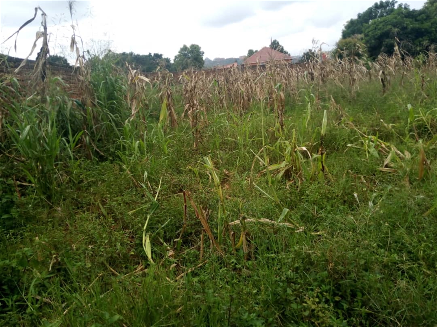 Multipurpose Land for sale in Kitende Wakiso