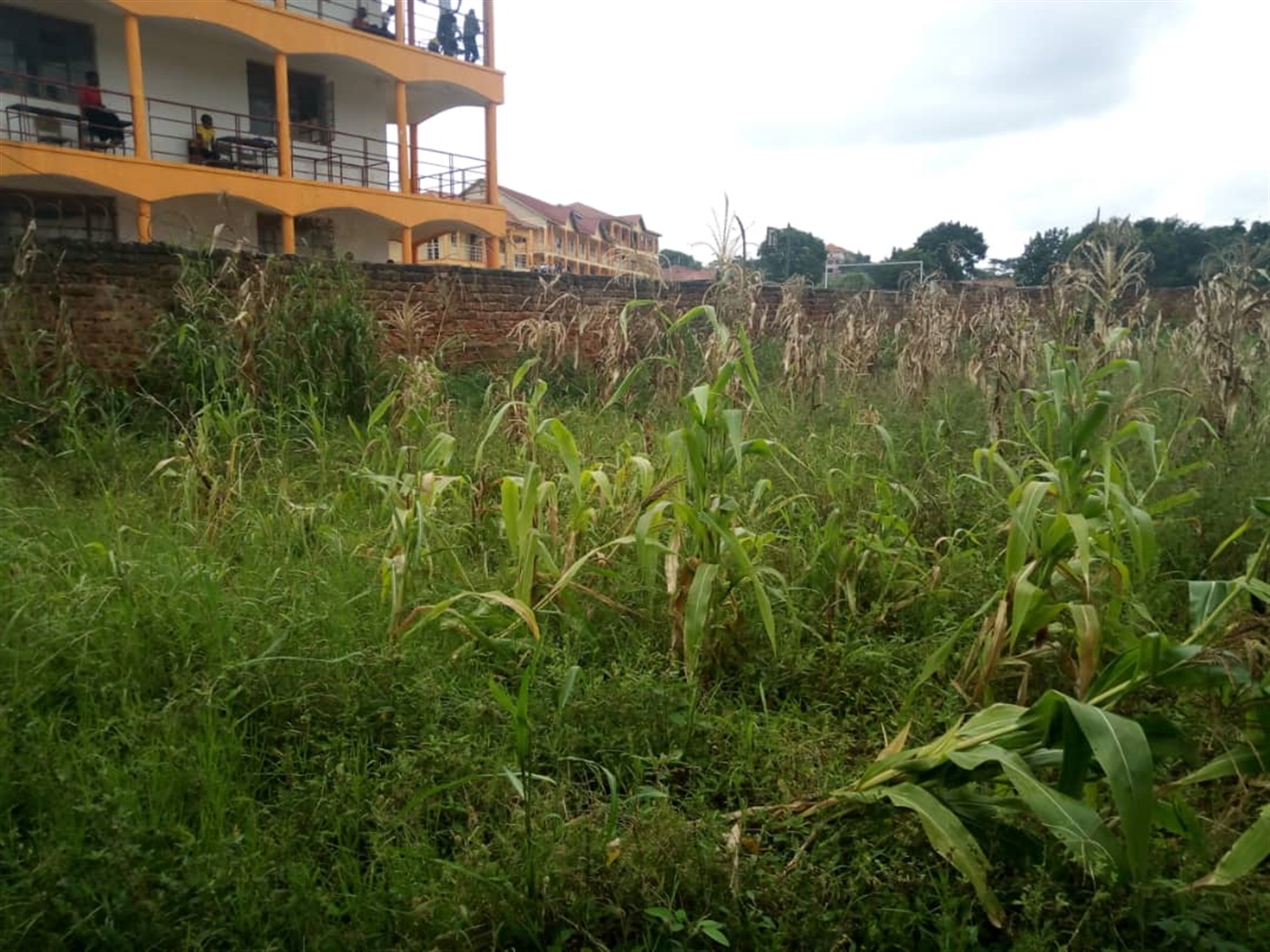 Multipurpose Land for sale in Kitende Wakiso