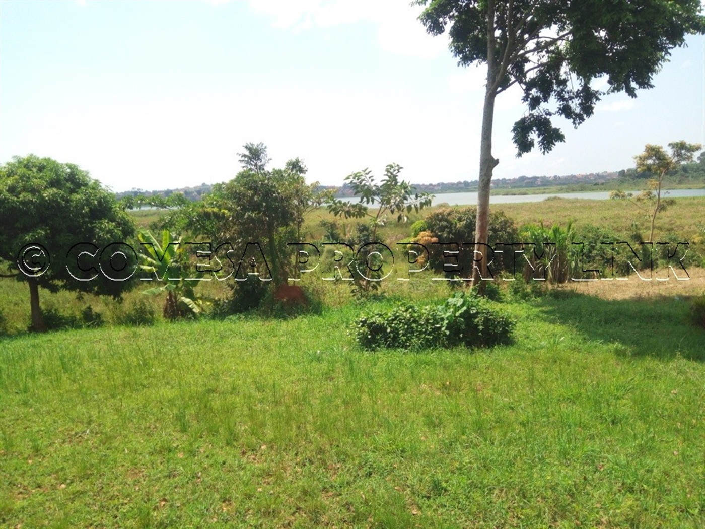 Commercial Land for sale in Lutembe Wakiso