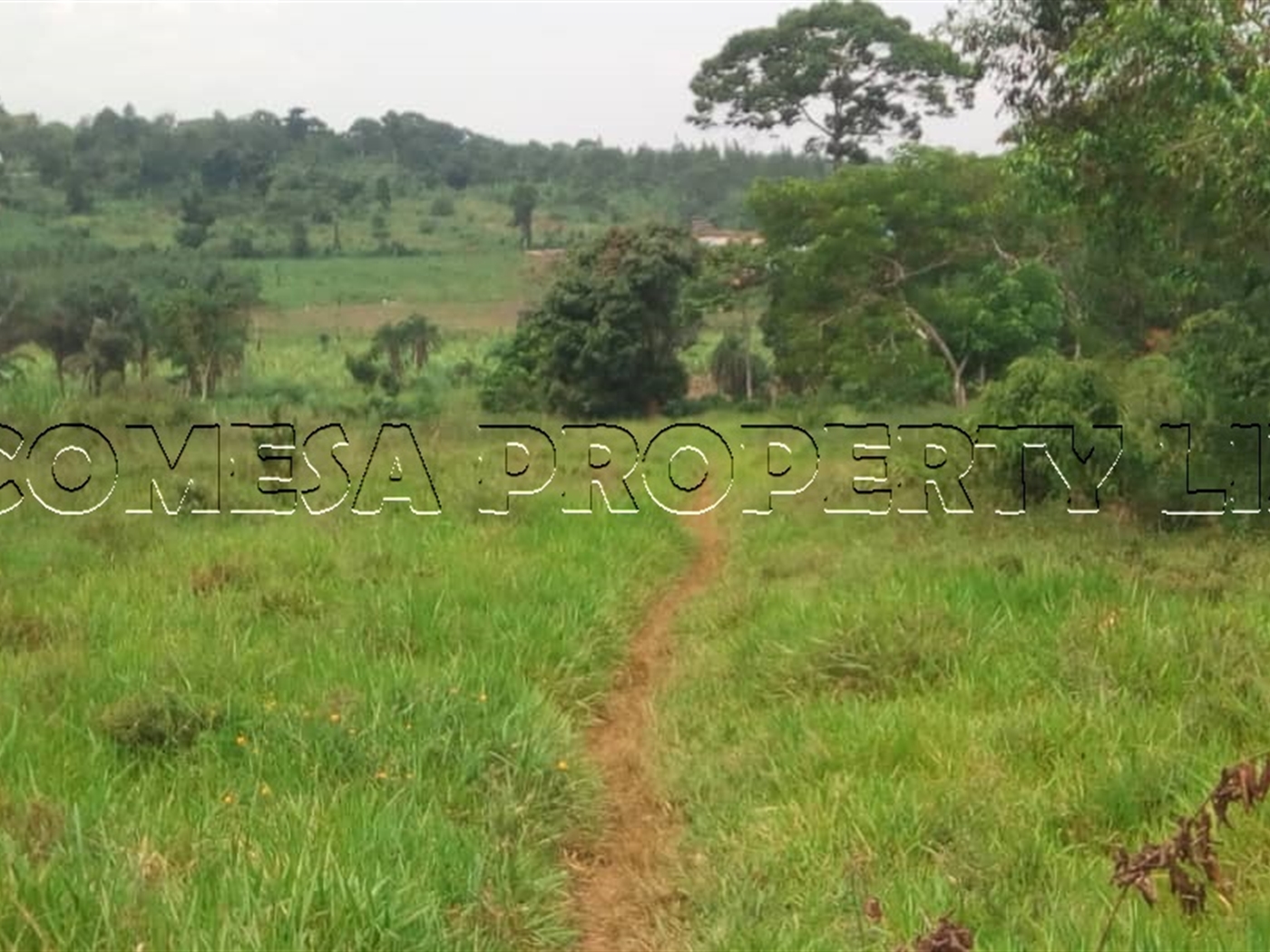 Multipurpose Land for sale in Ssentema Wakiso