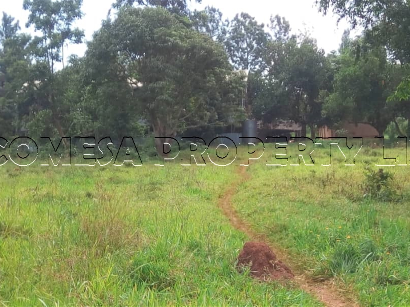 Multipurpose Land for sale in Ssentema Wakiso