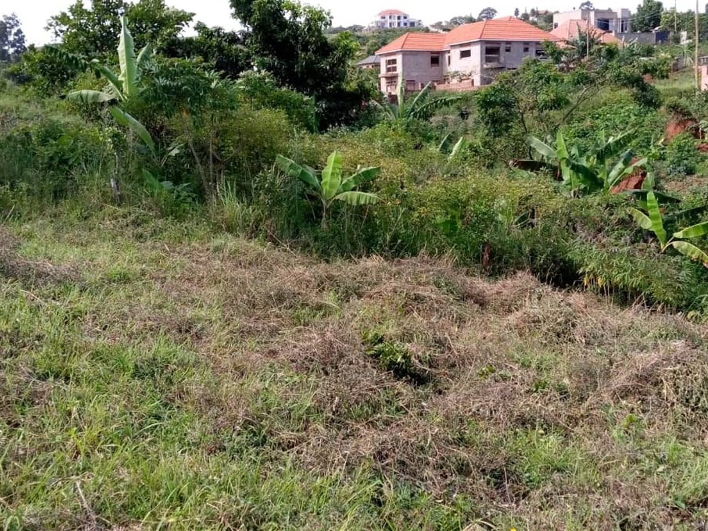 Multipurpose Land for sale in Kawuku Wakiso