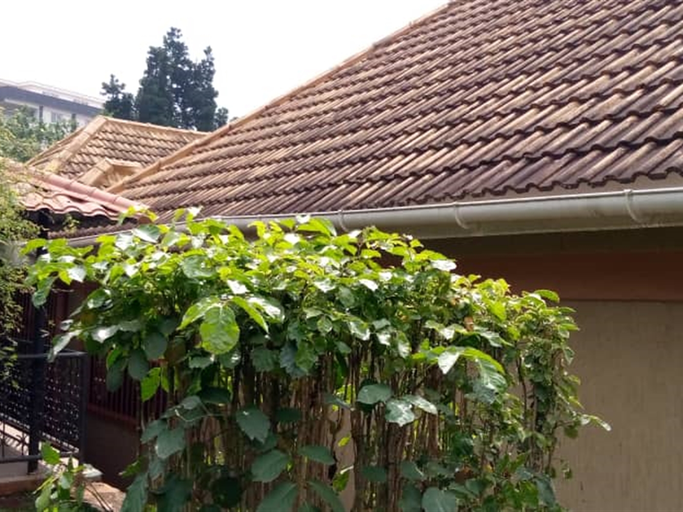 Town House for rent in Kololo Wakiso