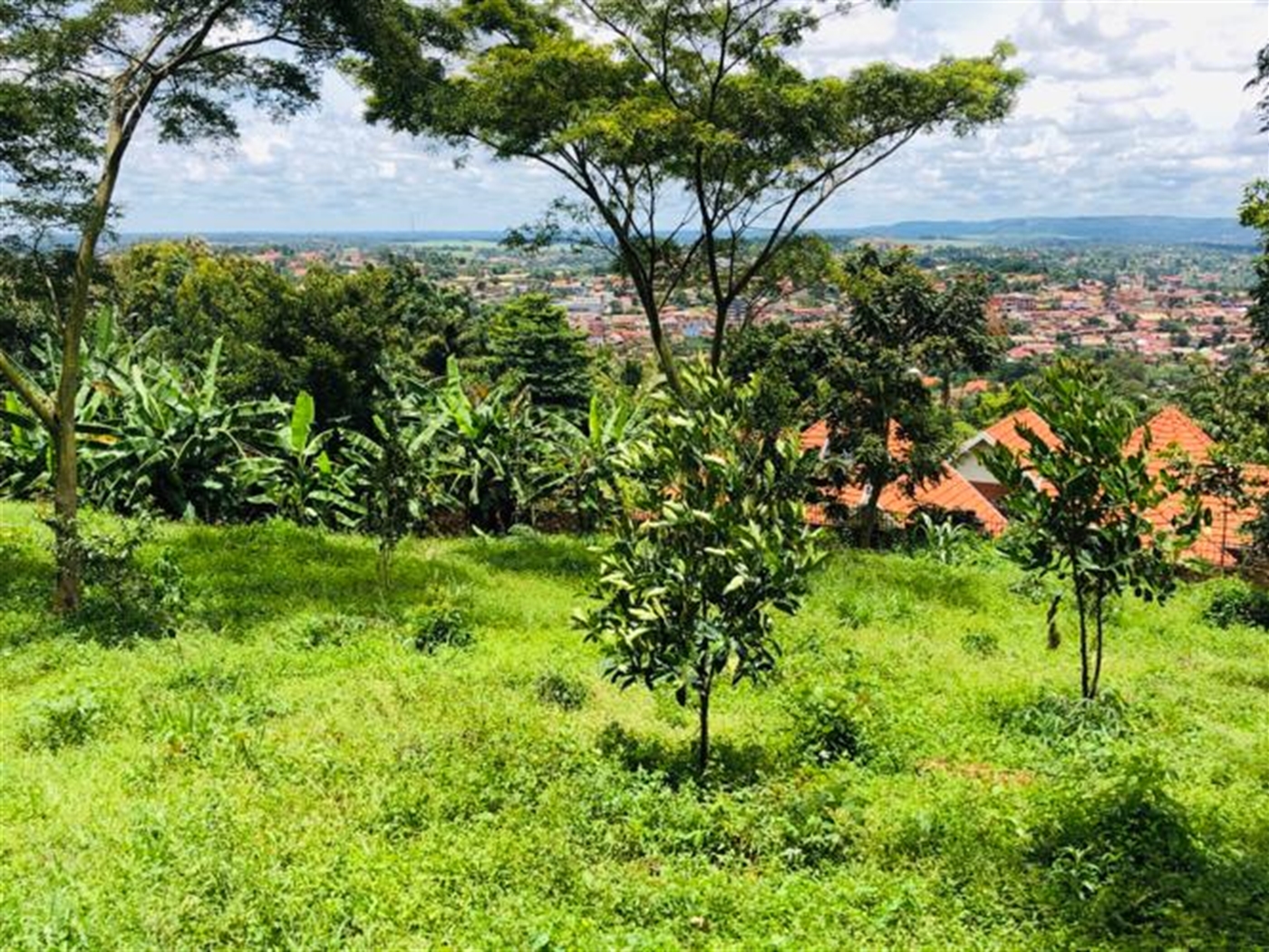 Multipurpose Land for sale in Mukono Mukono