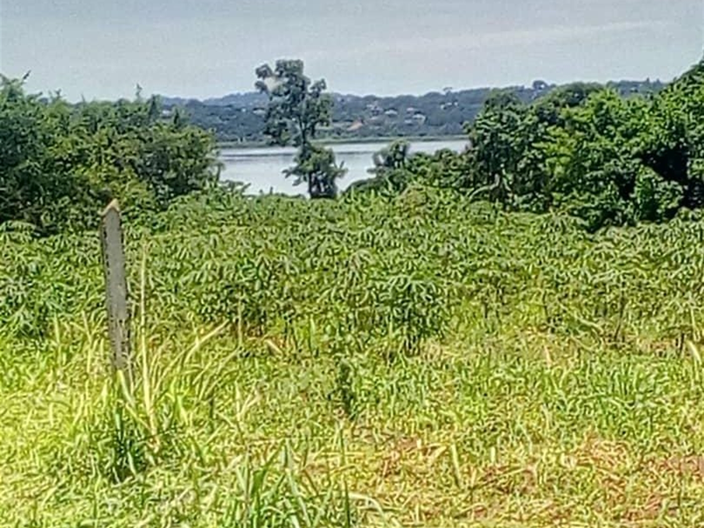 Multipurpose Land for sale in Kawuku Wakiso