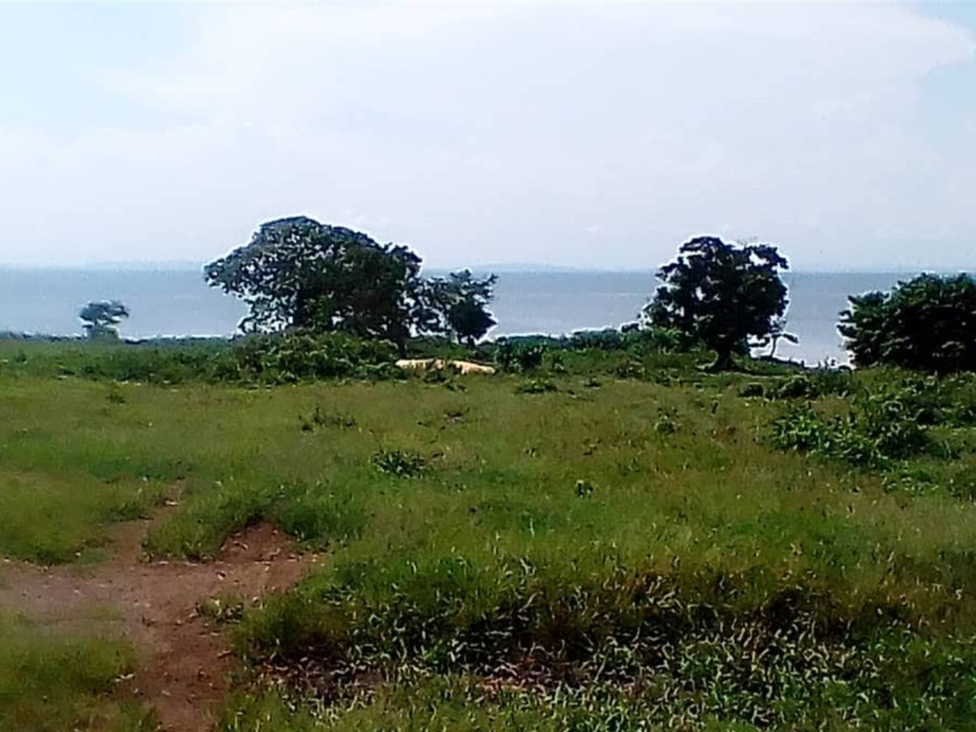 Multipurpose Land for sale in Koome Kalangala