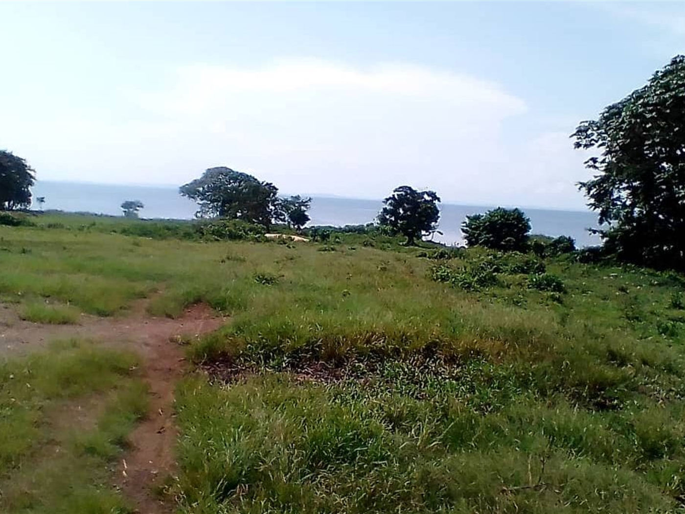 Multipurpose Land for sale in Koome Kalangala