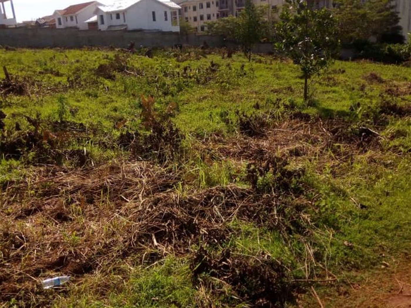 Agricultural Land for sale in Kikyuusa Luweero