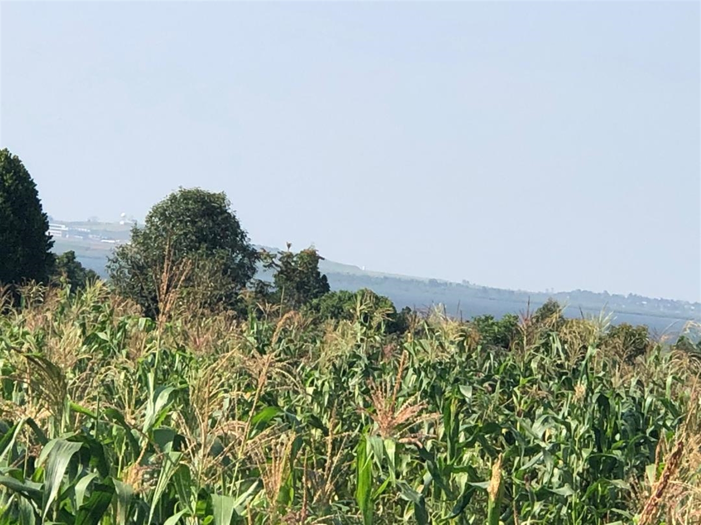 Multipurpose Land for sale in Kasanjje Wakiso