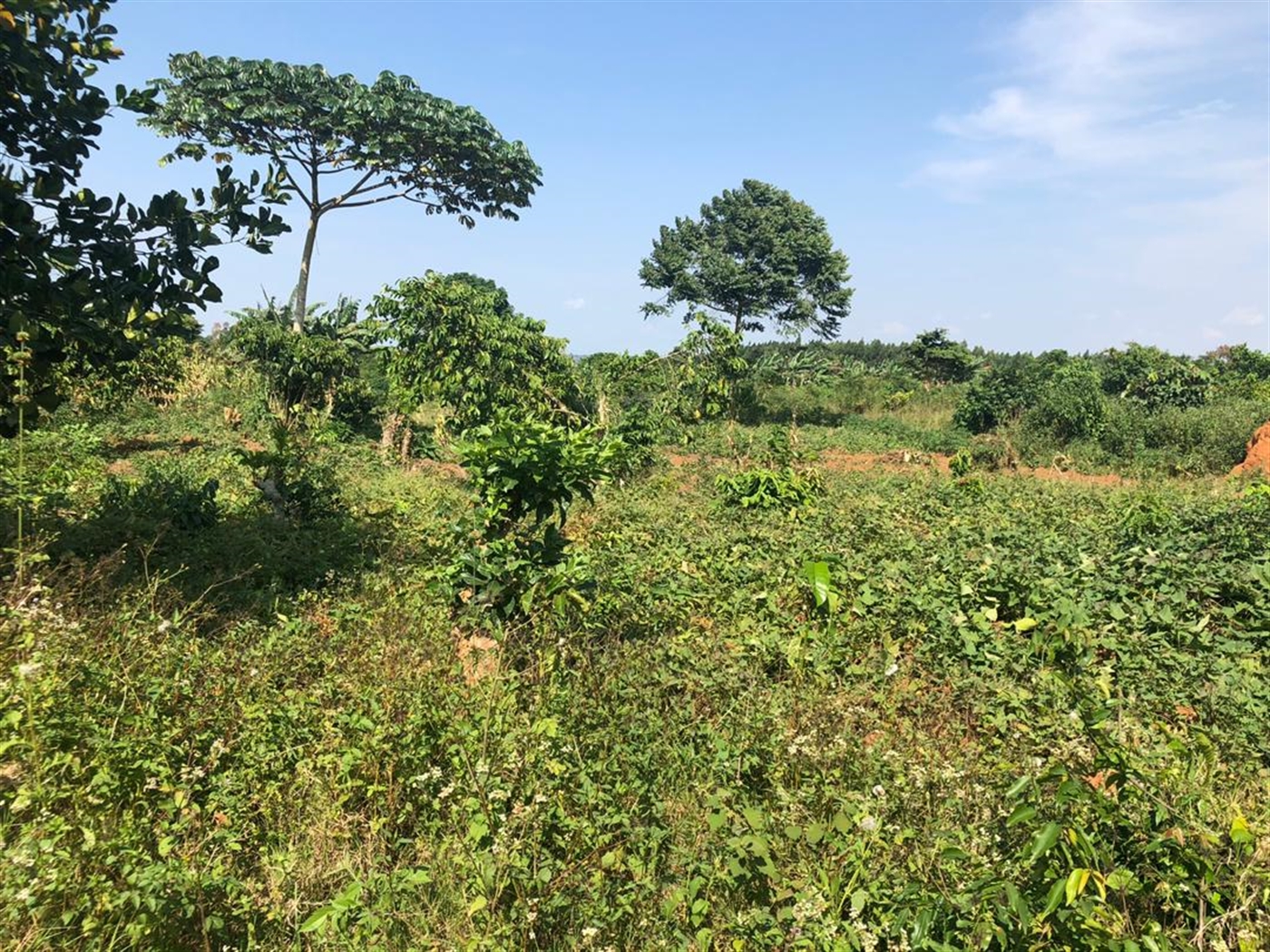 Multipurpose Land for sale in Kasanjje Wakiso