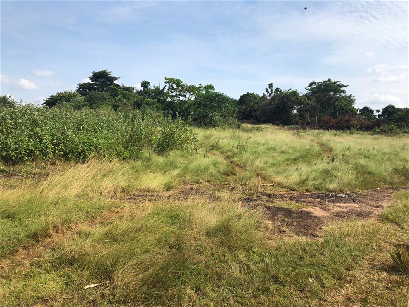 Multipurpose Land for sale in Kasanjje Wakiso