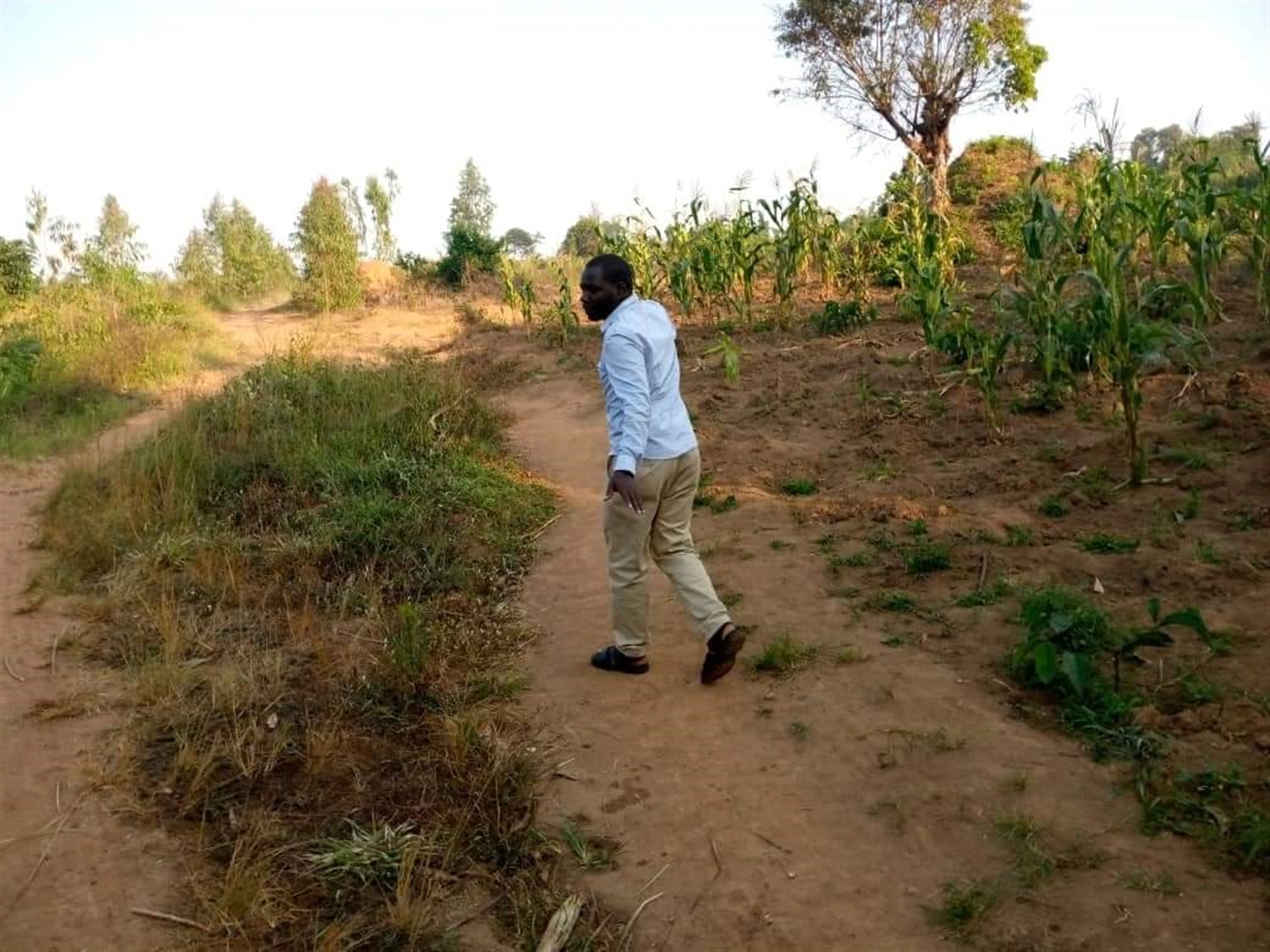 Multipurpose Land for sale in Bugerere Kayunga