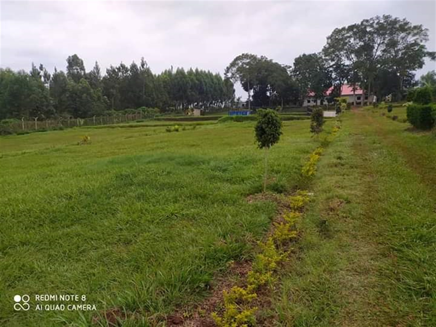 Multipurpose Land for sale in Seeta Mukono