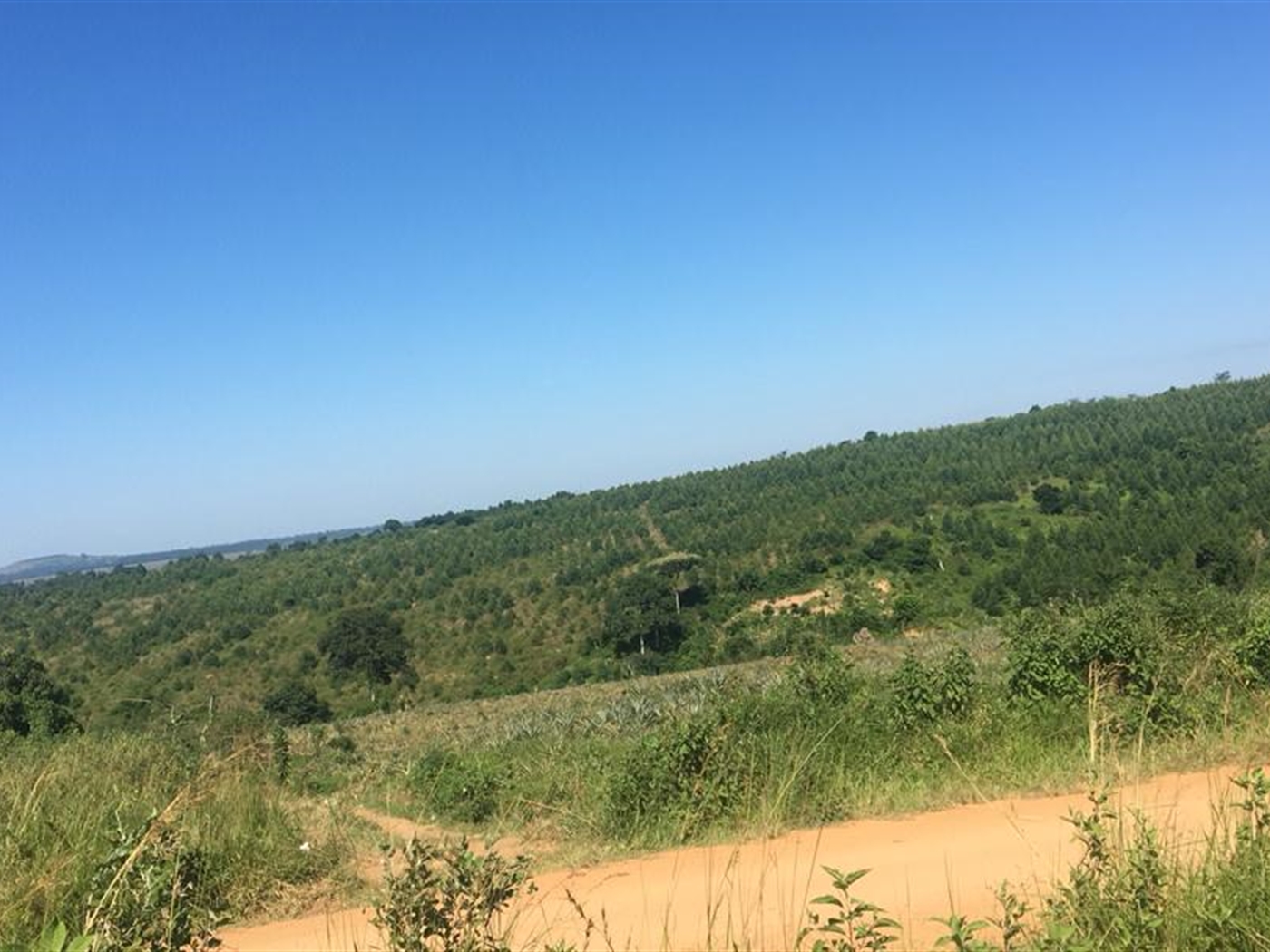 Multipurpose Land for sale in Kaliisizo Masaka