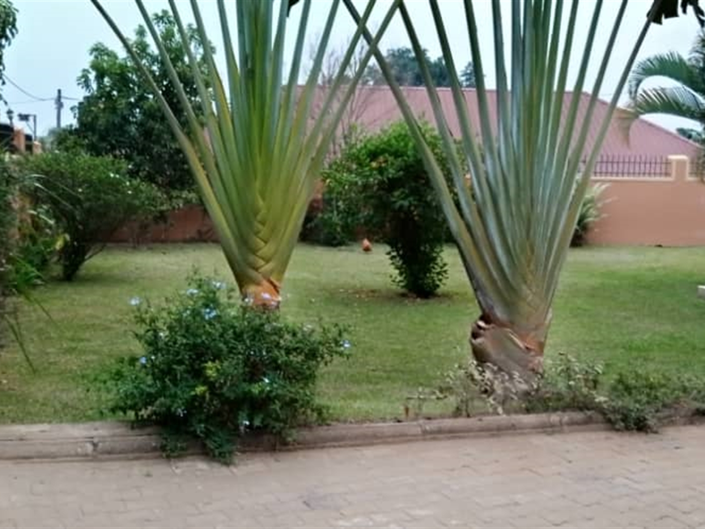 Bungalow for sale in Kyaliwajjala Wakiso