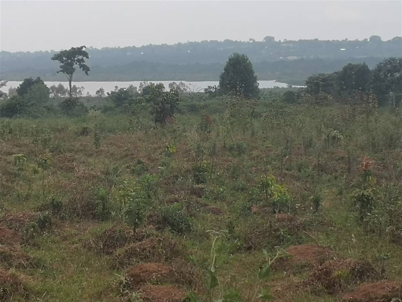 Multipurpose Land for sale in Kasanjje Wakiso