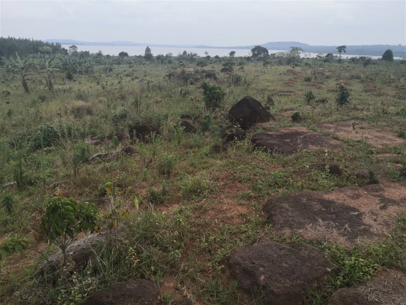 Multipurpose Land for sale in Kasanjje Wakiso