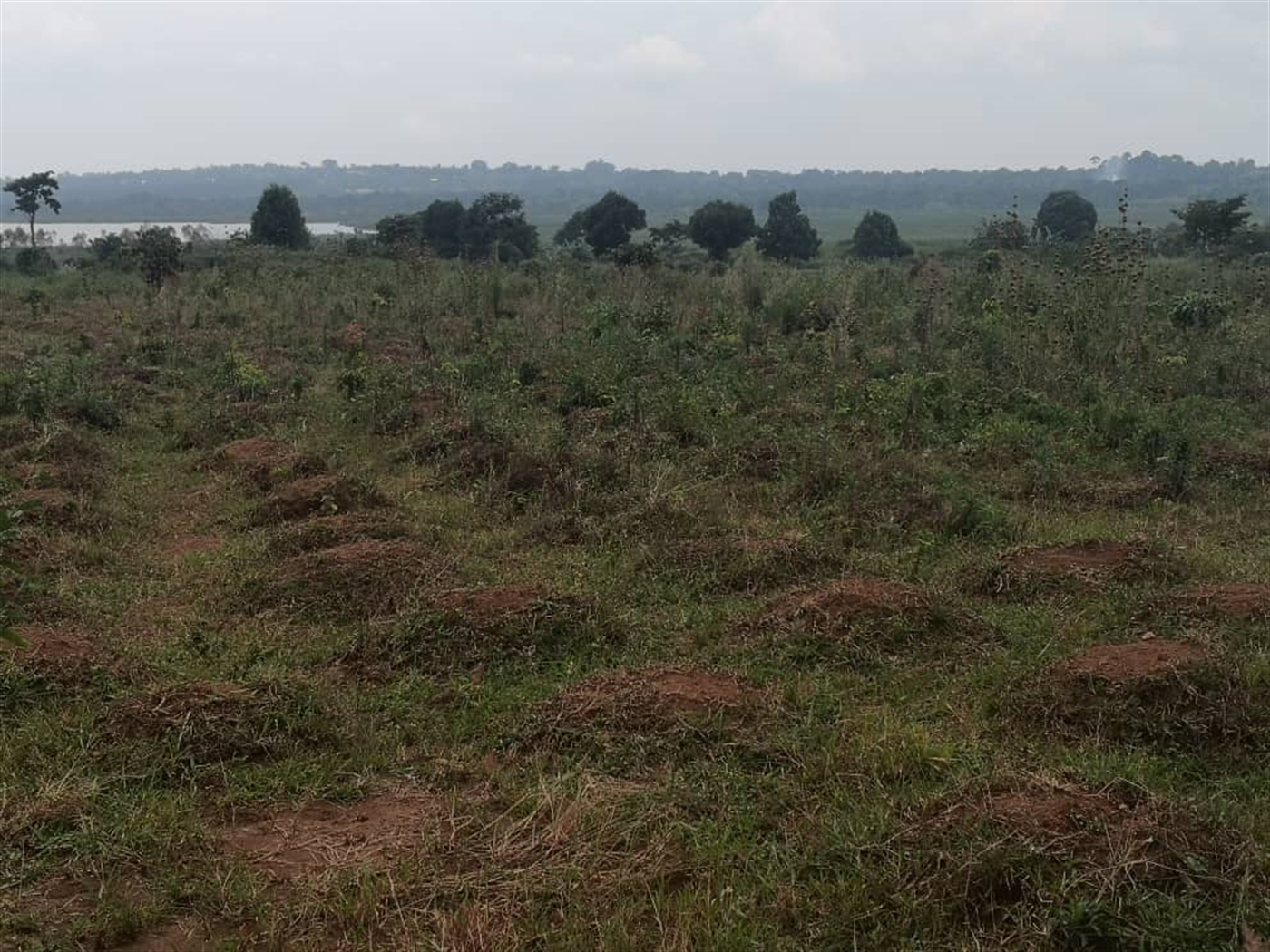 Multipurpose Land for sale in Kasanjje Wakiso