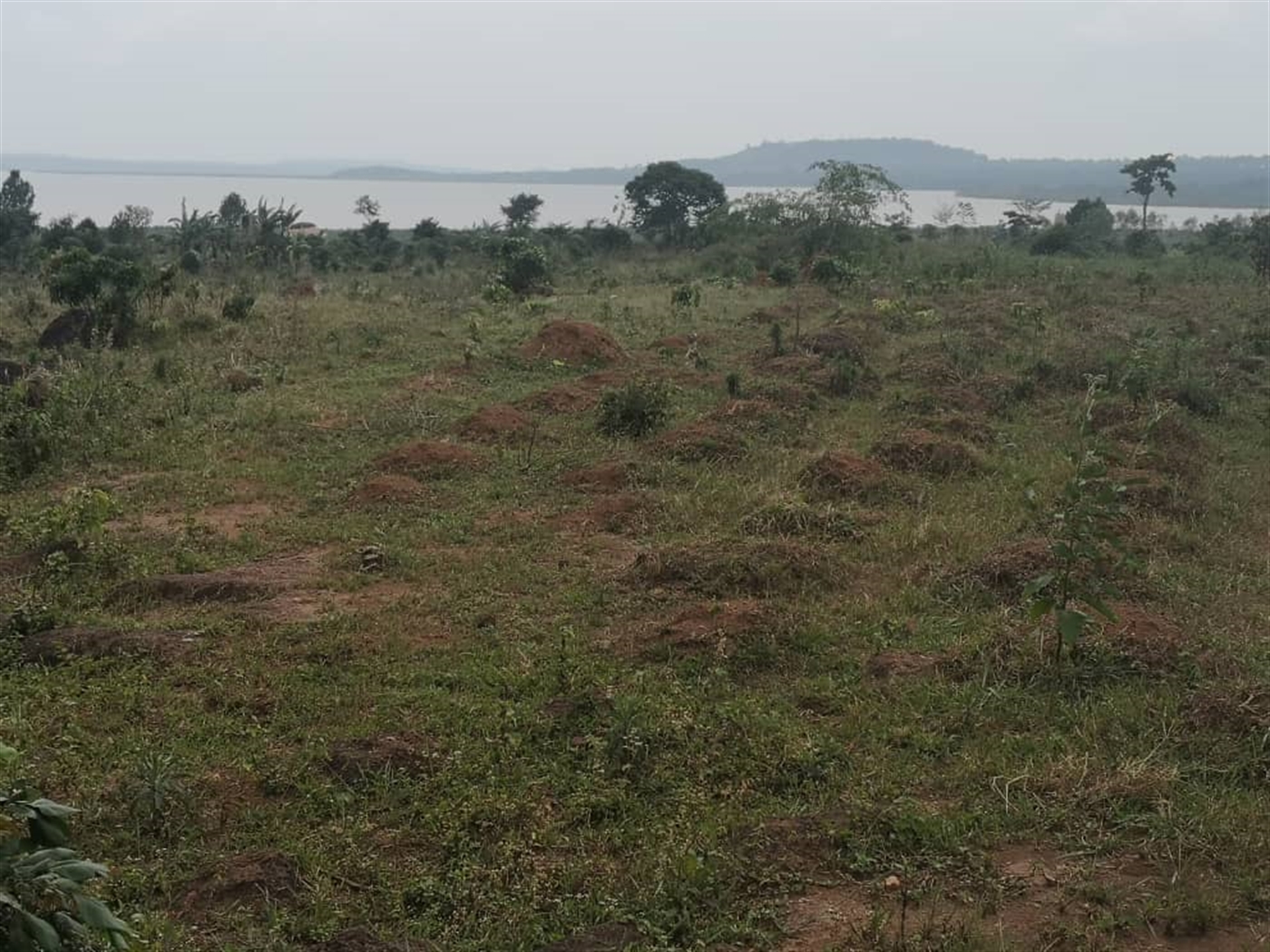 Multipurpose Land for sale in Kasanjje Wakiso