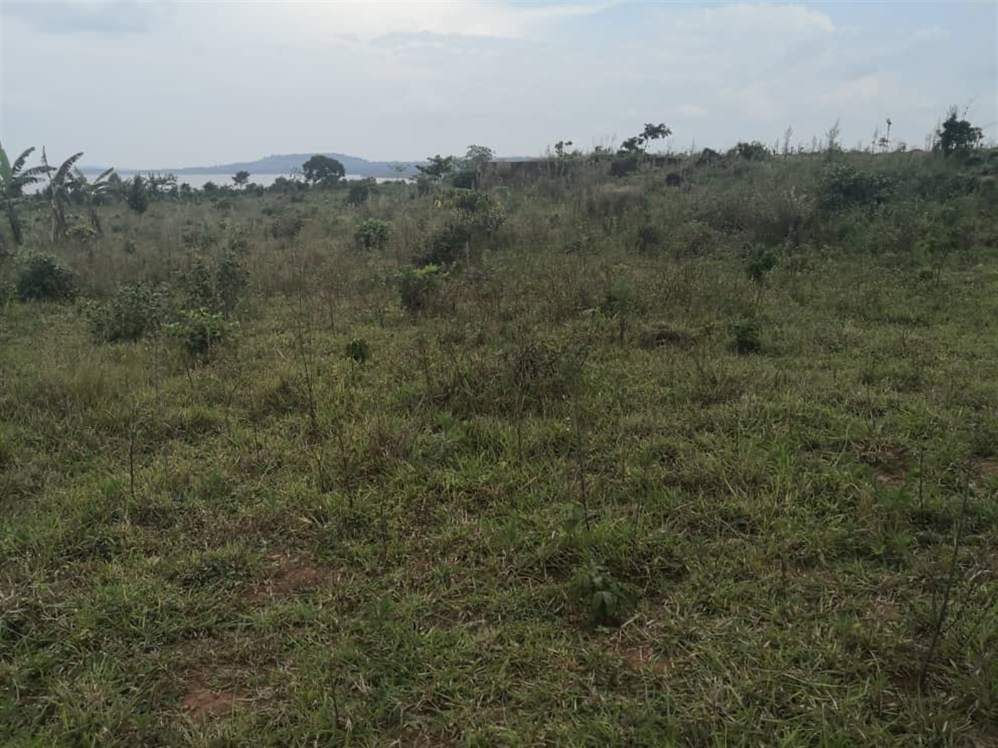 Multipurpose Land for sale in Kasanjje Wakiso