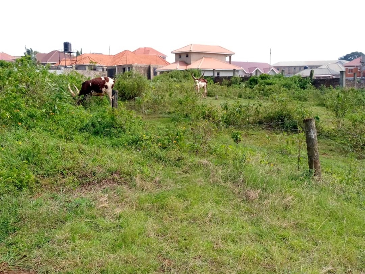 Multipurpose Land for sale in Garuga Wakiso