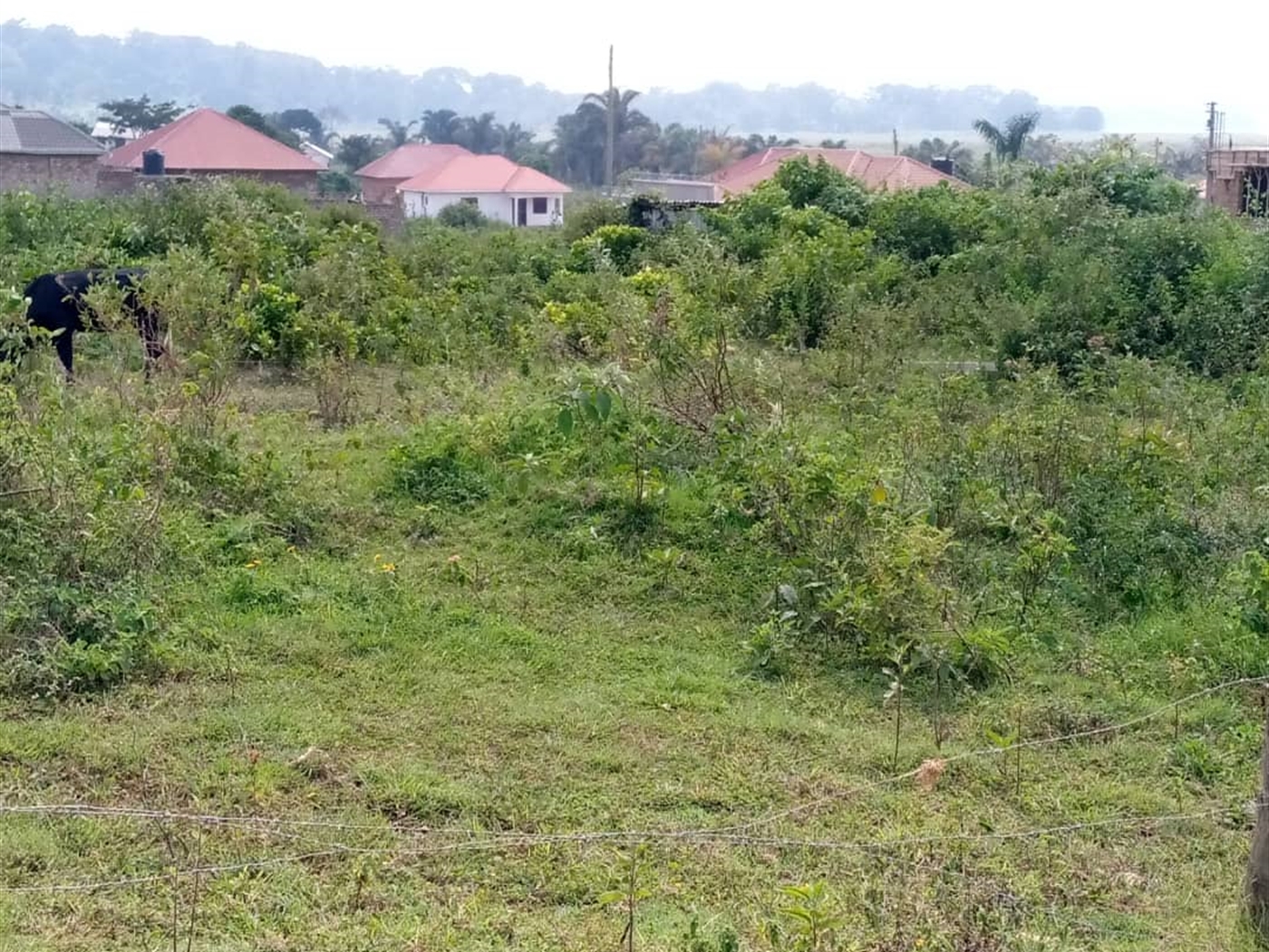 Multipurpose Land for sale in Garuga Wakiso