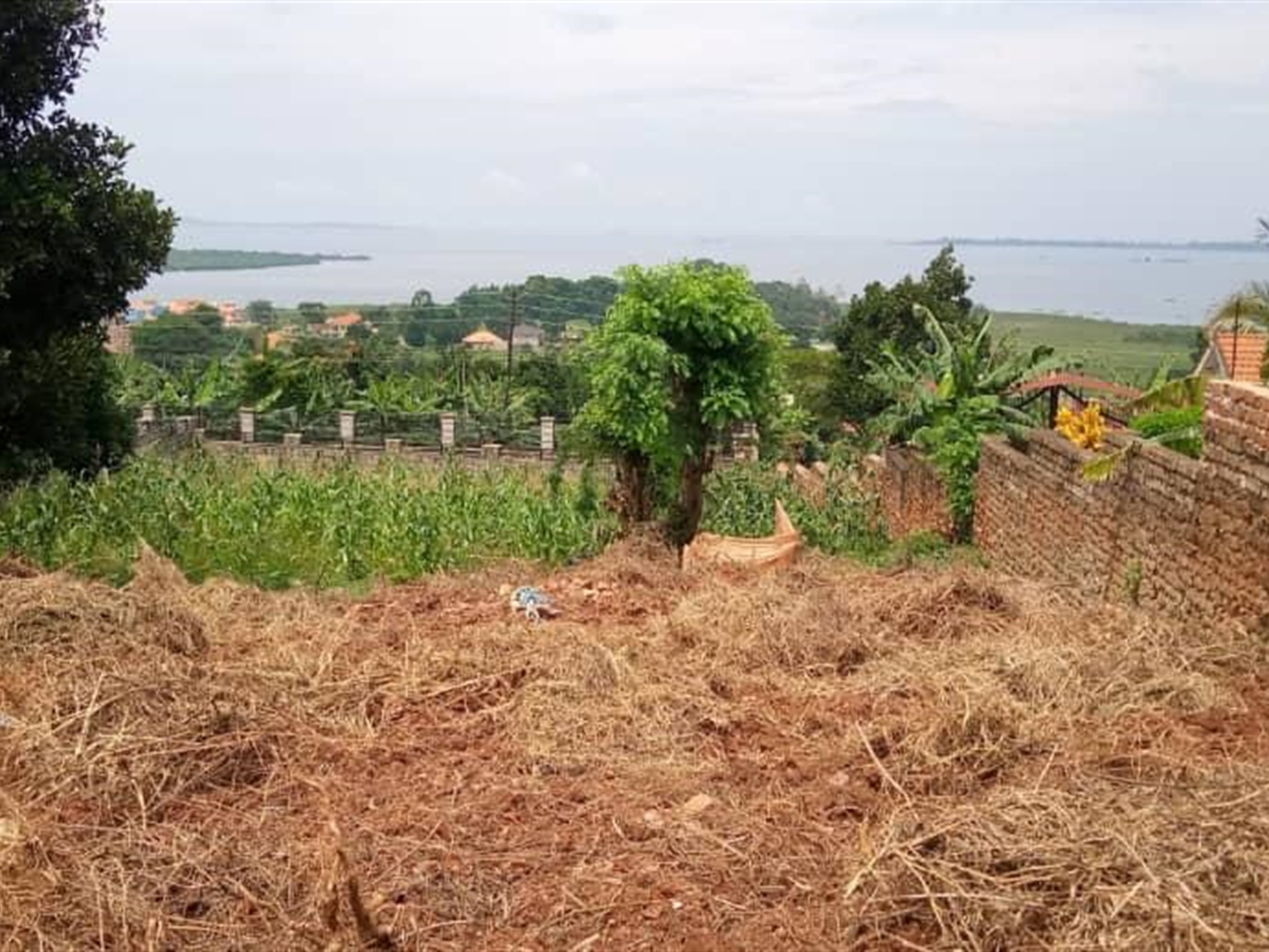 Multipurpose Land for sale in Kigo Kampala