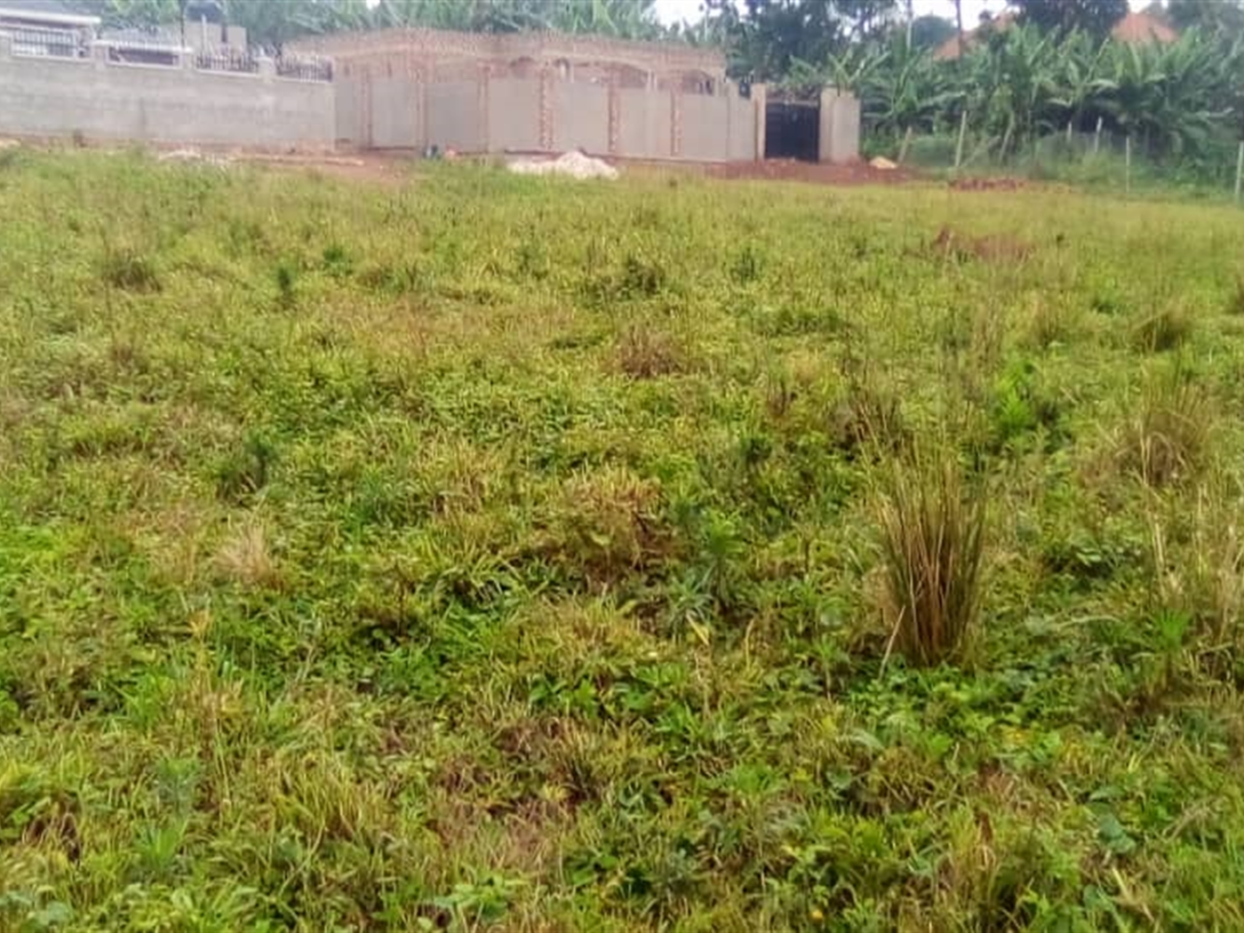 Residential Land for sale in Misindye Jinja