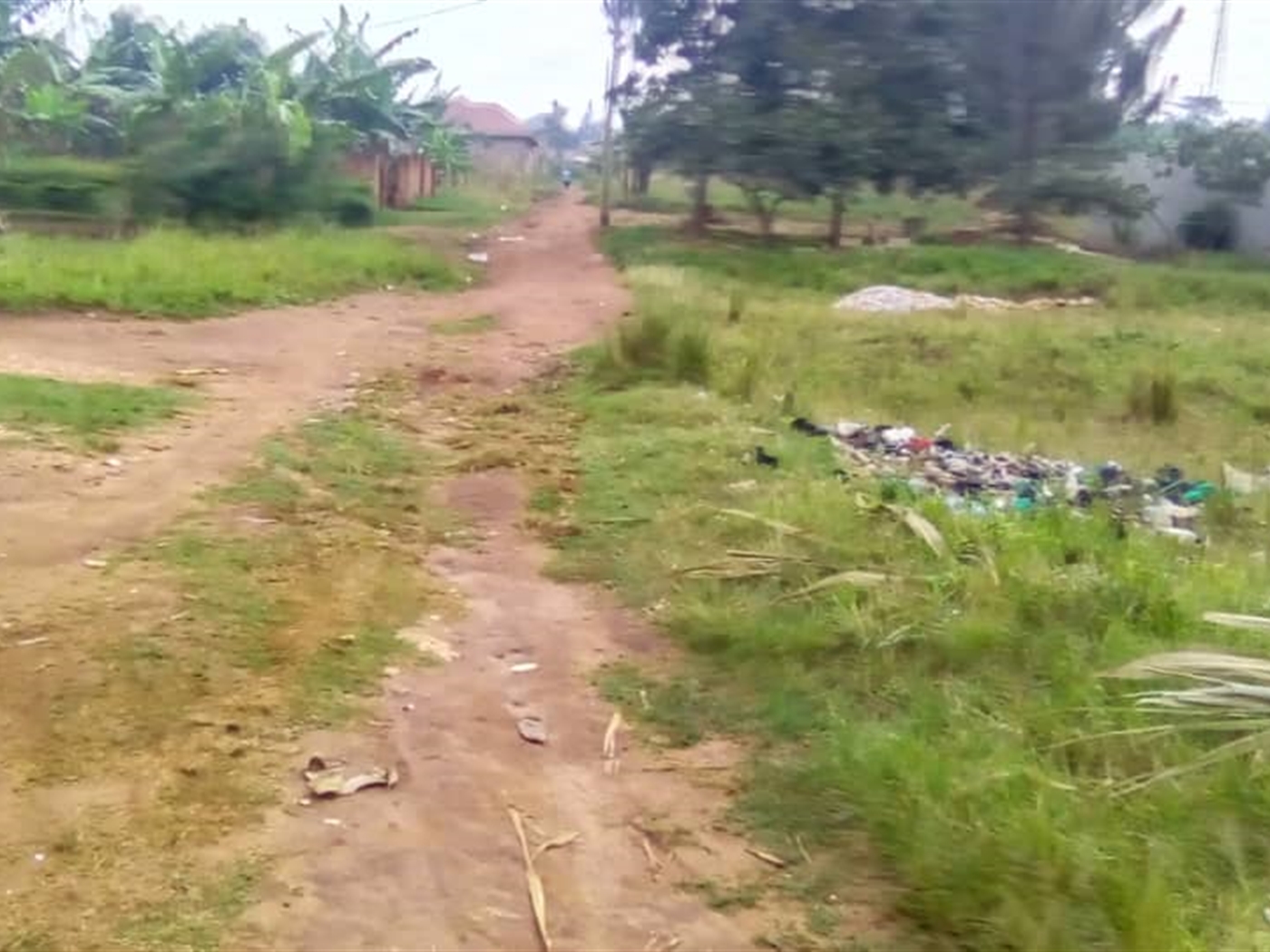 Residential Land for sale in Misindye Jinja