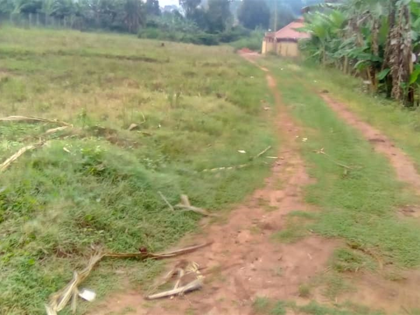 Residential Land for sale in Misindye Jinja