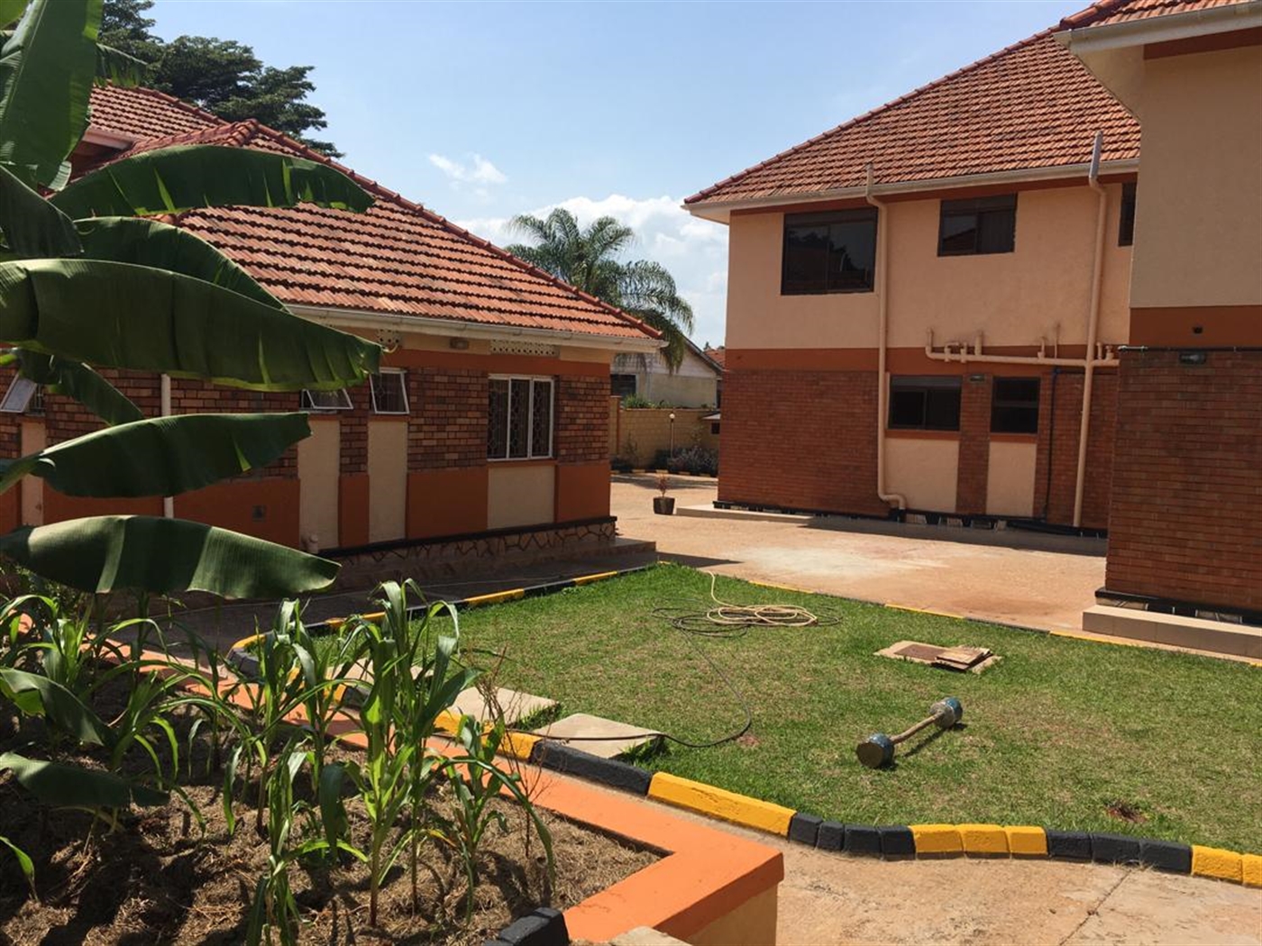 Mansion for rent in Muyenga Kampala