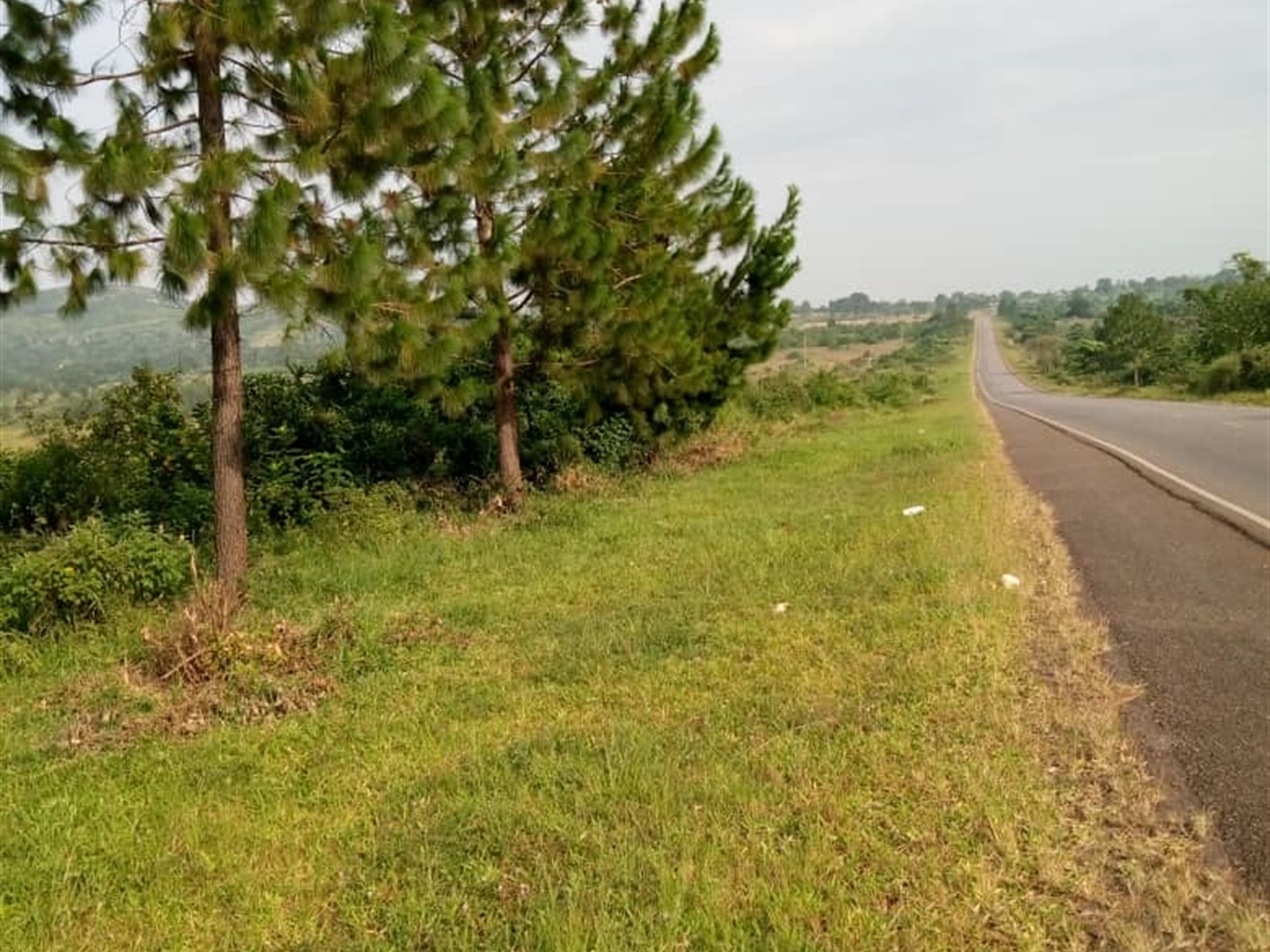 Multipurpose Land for sale in Busunjju Kiboga