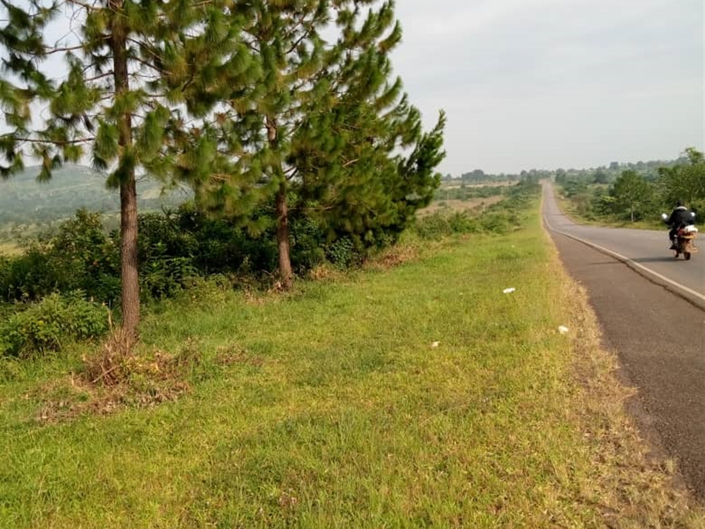 Multipurpose Land for sale in Busunjju Kiboga