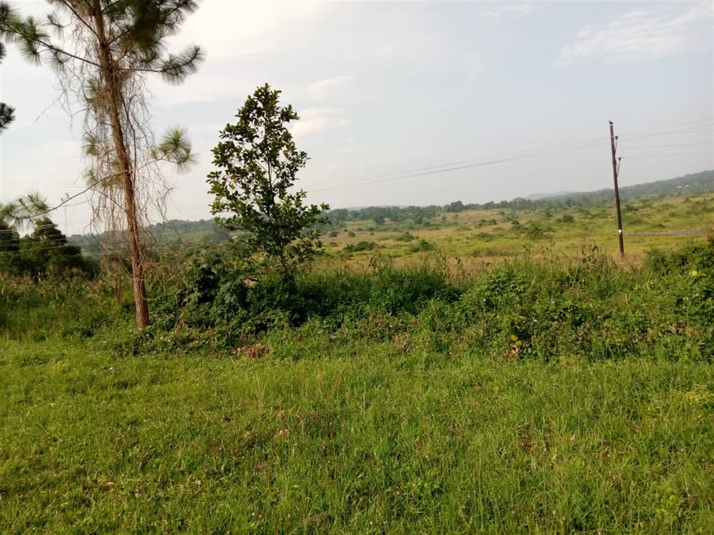 Multipurpose Land for sale in Busunjju Kiboga